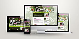 Création de site Internet